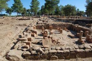 Ruínas de estruturas de alvenaria em escavação arqueológica com pinheiros ao fundo
