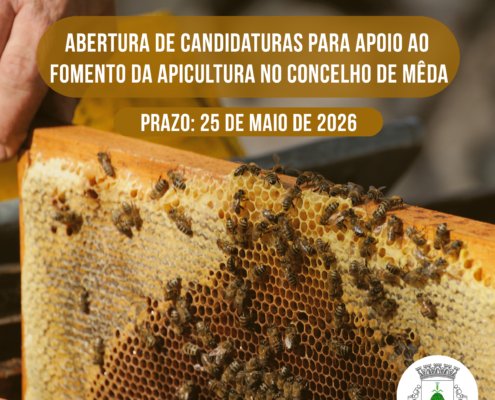 Apicultura