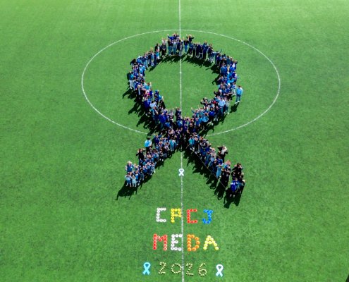Laço Cpcj 9