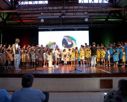 Festa Encerramento Escolar (12)